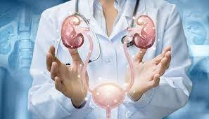 Nephrology Department